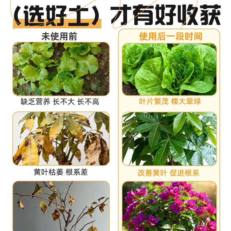 营养土通用型100斤种菜养花通用专用花土泥育苗疏松透气有机土壤