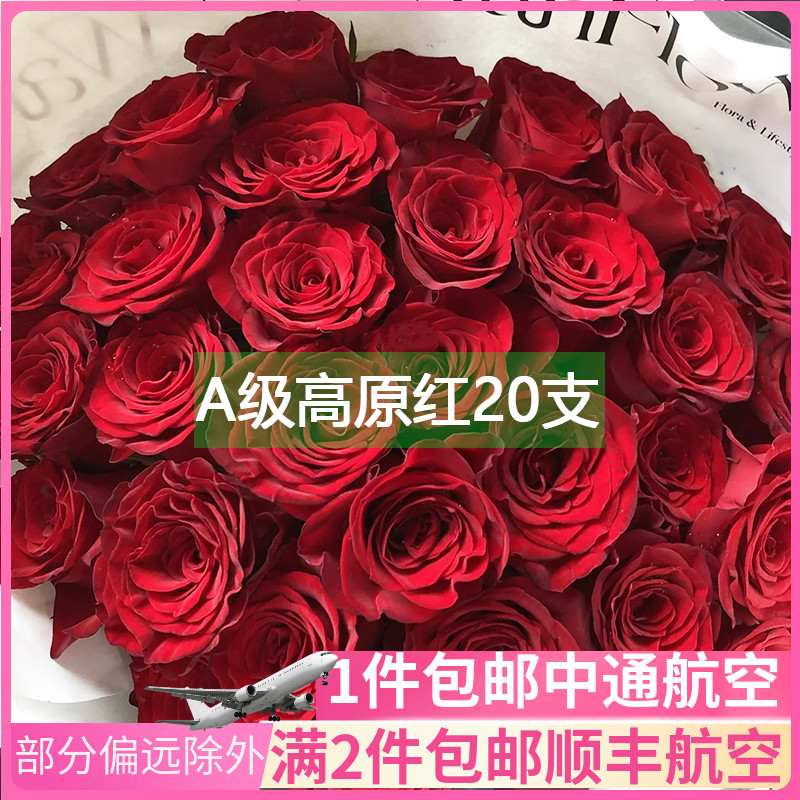 A级高原红玫瑰花云南斗南鲜花基地直发昆明花卉市场批鲜切花发红