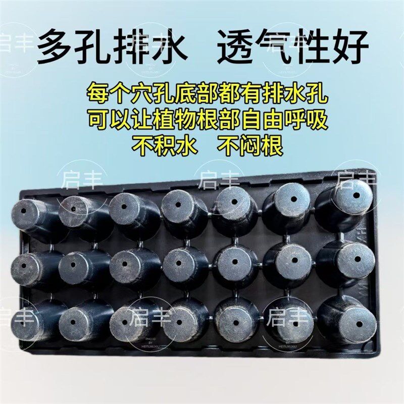 百香果专用全新21圆孔超大号圆形育苗盘营养钵专用加厚耐用育苗盘