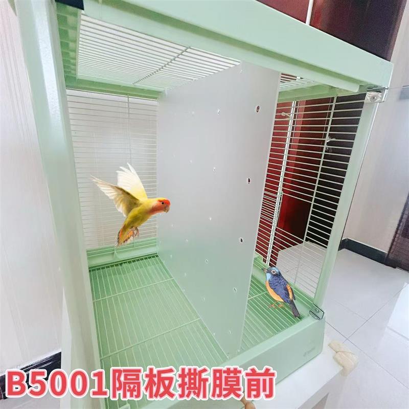 达洋B5001隔板鸟笼亚克力隔板鸟笼防打架板达洋鸟笼隔板定制挡板