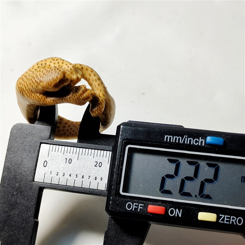 精品一物一拍竹根雕豹子扳指手把件把玩件收藏