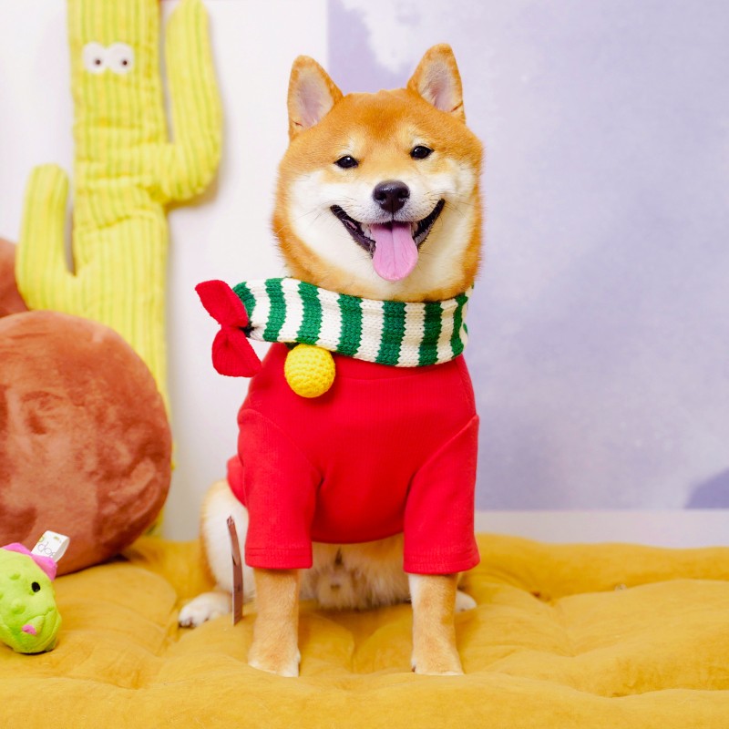 网红柴犬圣诞可爱衣服秋冬狗狗喜庆大红衣服保暖棉套头新年卫衣