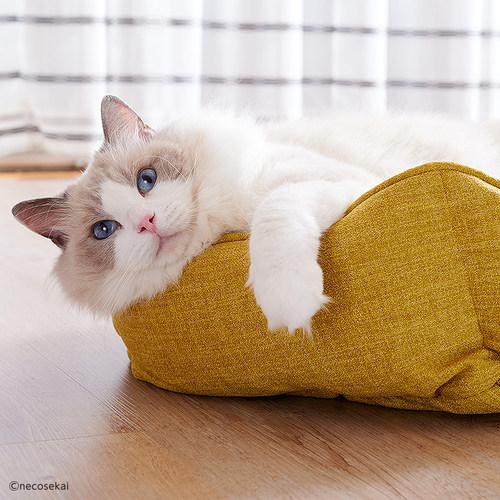猫咪世界 秋冬季保暖四季通用猫沙发猫窝猫床猫垫子宠物床 用品