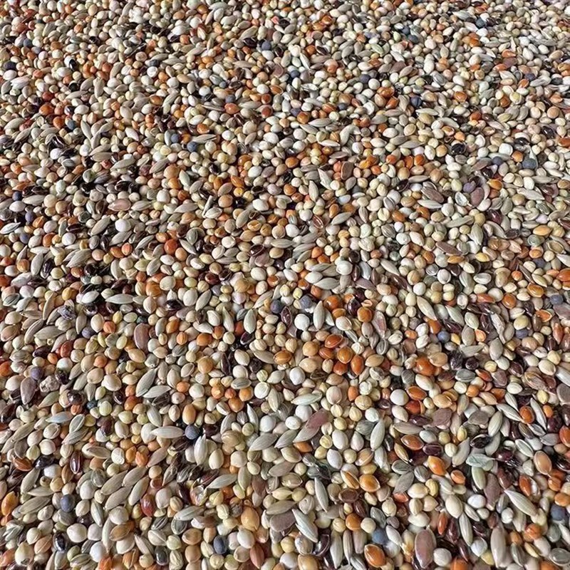 小型鸟混合粮食鸟粮虎皮牡丹玄凤鸟粮金丝雀玉鸟文鸟鸟食物鸟粮
