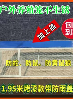 鸡笼子小鸡笼养殖笼加大加密加厚防鼠养兔笼狗笼鹌鹑鸟鸽子笼工具