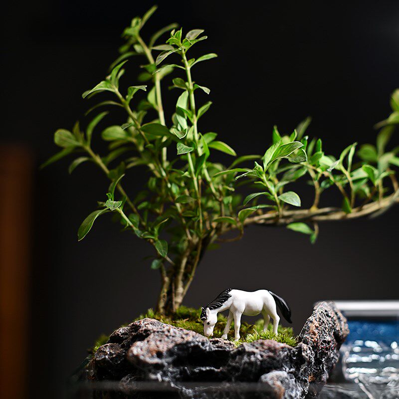 新中式文竹自循环生态小鱼缸家用客厅桌面观赏流水摆件迷你微景观