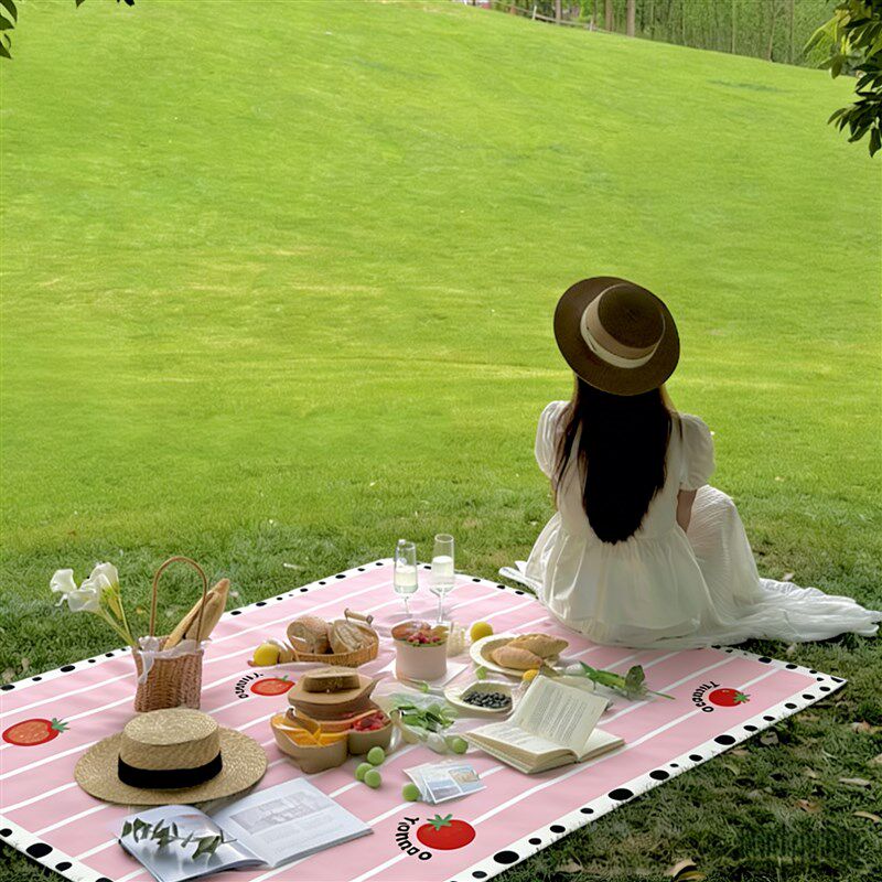 春游ing!野餐垫防潮垫折叠沙滩垫草坪垫子郊游野餐布拍照背景布