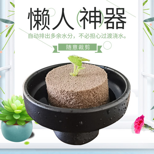Xponge无土多肉海绵水培基质手工造型 懒人花盆替代水苔植料