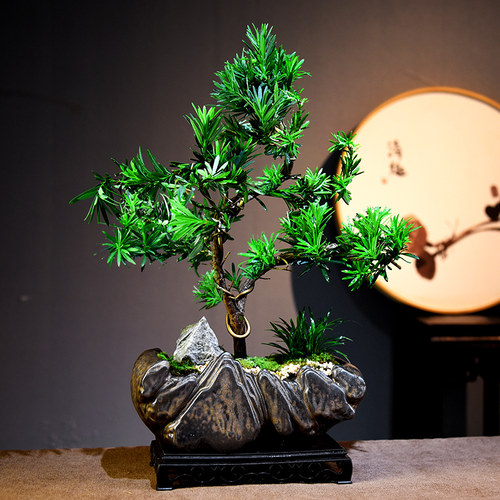 罗汉松盆景老桩造型盆栽室内办公客厅阳台植物桌面摆件绿植送礼