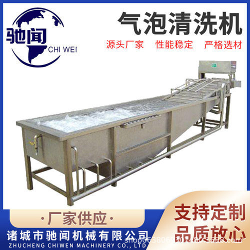 供应小香葱气泡清洗机 鲜玉米气泡清洗机 香菜香芹果蔬清洗线厂家