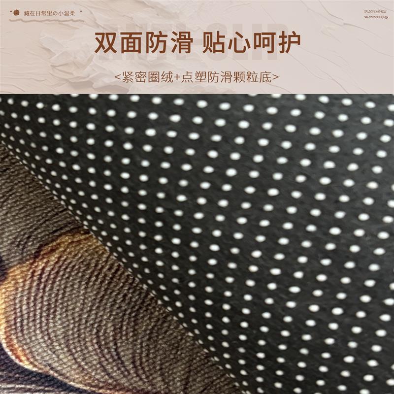 入户地垫2026年新款高级感进门门口耐脏防滑地毯室内大尺寸蹭脚垫
