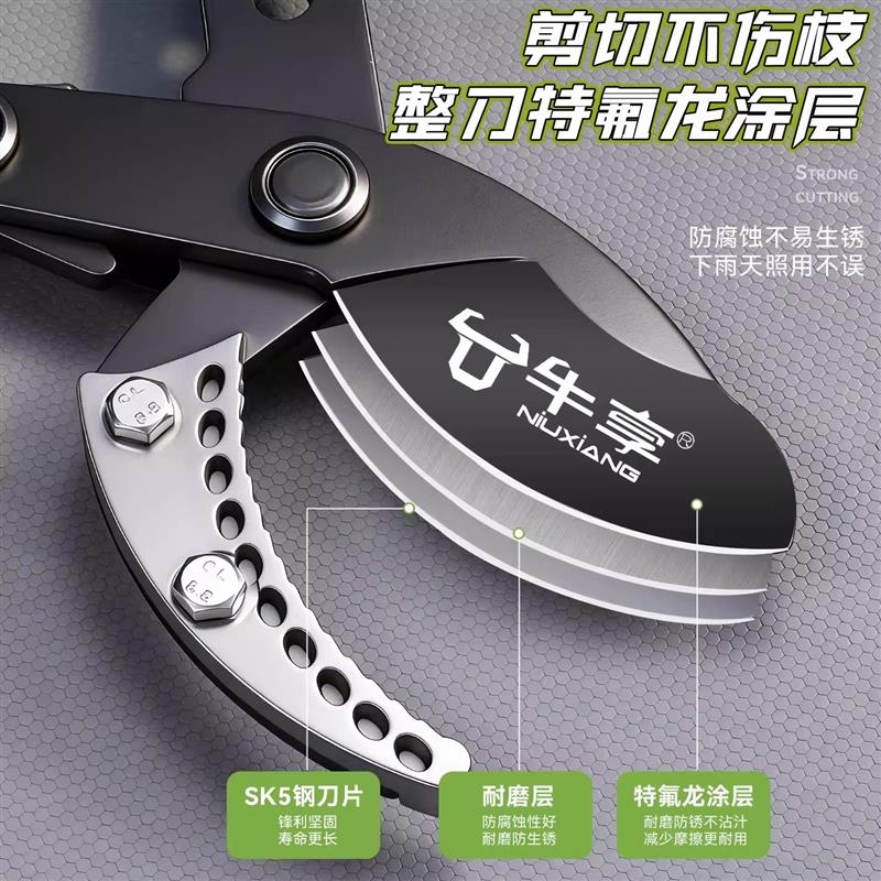 园艺剪刀修剪树枝专用粗枝剪大剪刀园林绿化修枝剪花卉修剪刀剪草