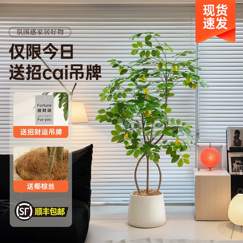 仿真柠檬树盆景盆栽大型高级仿生绿植装饰摆件假树落地橱窗假植物