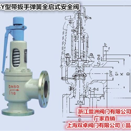 A48Y-16C 铸钢带扳手弹簧全启式安全阀DN20 25 32 40 50 80 100