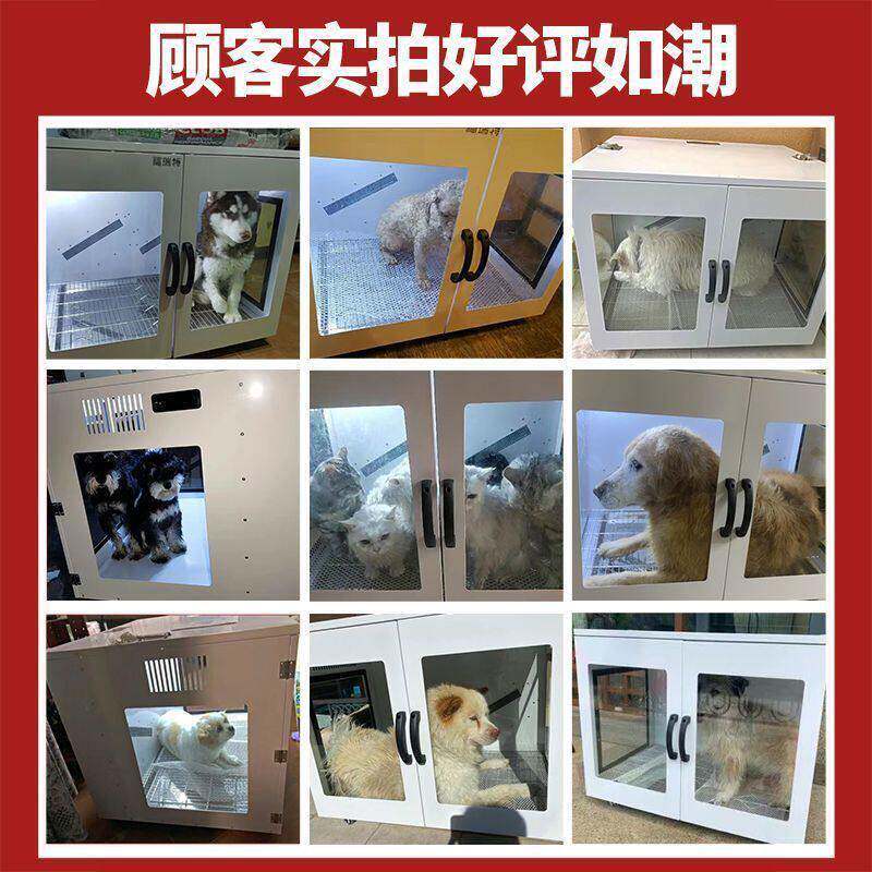 宠物烘箱大吹型全自干动吹箱烘干机水机猫咪狗吹毛洗澡福瑞特神器