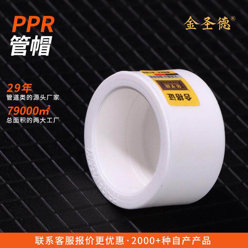 ppr管帽定制4分塑料堵头堵冒塑料封头ppr管配件大全ppr管件