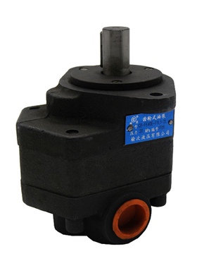 齿轮式油泵同款CB- FT50 16 20 25 31.5 40-FL现货当日发