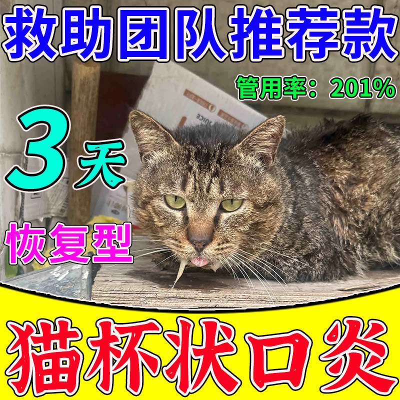 猫咪口特效炎猫咪流口水消牙龈红肿杯状牙龈炎肉芽肿痛病毒专用