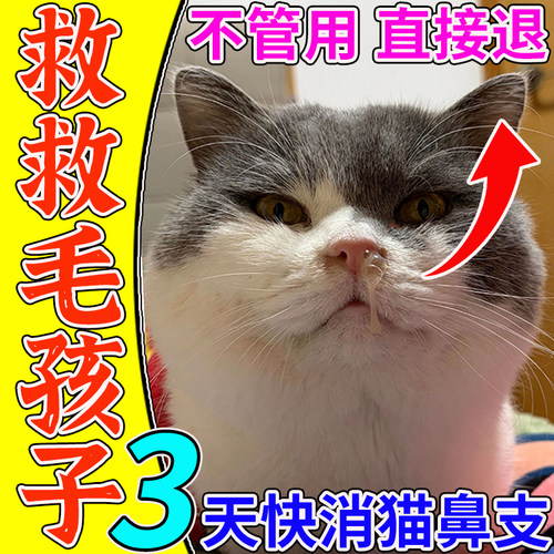 猫鼻子专用非特效药猫眼睛泪痕眼屎流鼻子提升免疫专用涕精神不佳