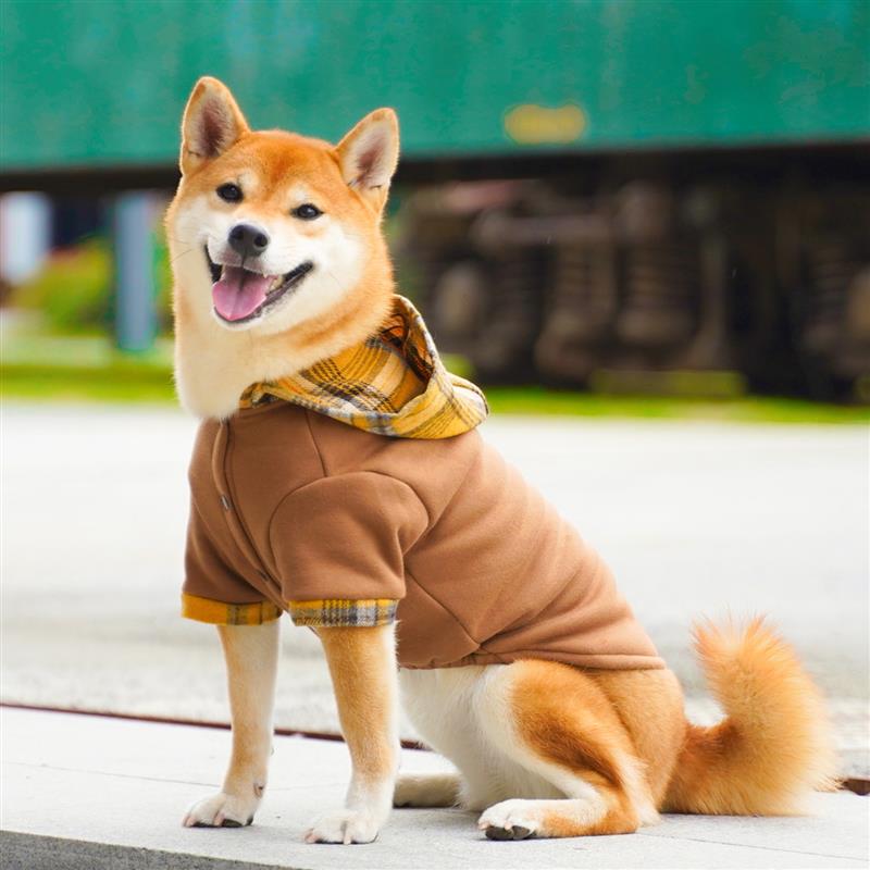 一杯热可可 柴犬新年衣服可爱潮帽衫英伦复古外套保暖棉服喜庆红