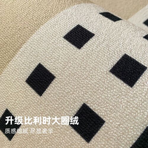 圈绒地垫半圆形入户门垫家用门口进门客厅地毯高级感玄关耐脏脚垫