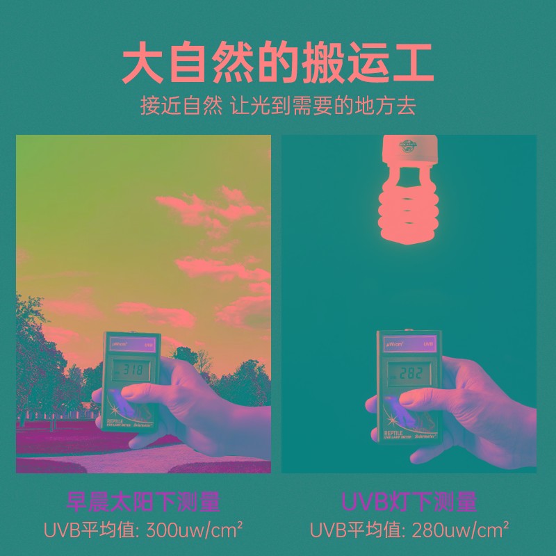 爬虫uvb灯乌龟晒背灯蜥蜴饲养箱树蛙雨林缸补钙灯多肉太阳灯10.0