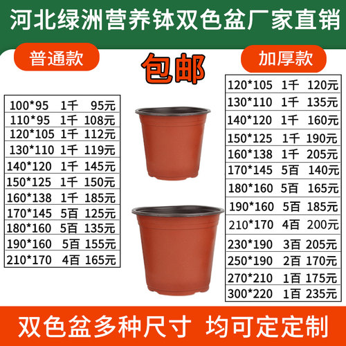 双色盆育苗盆营养钵育苗杯营养杯塑料一次性花盆加厚多肉