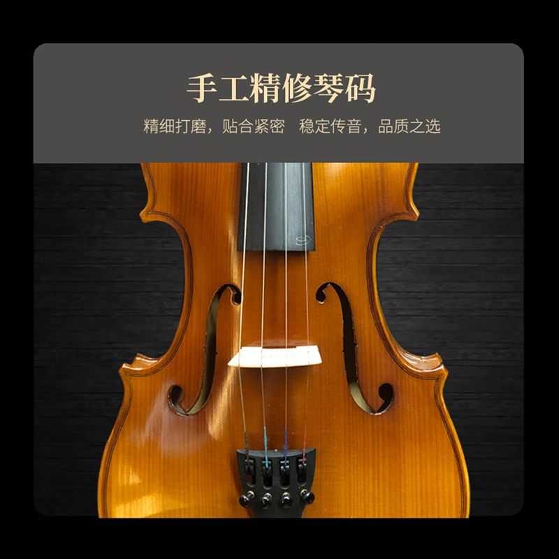 火车说琴提琴圈儿童入门初学半手工实木小提琴