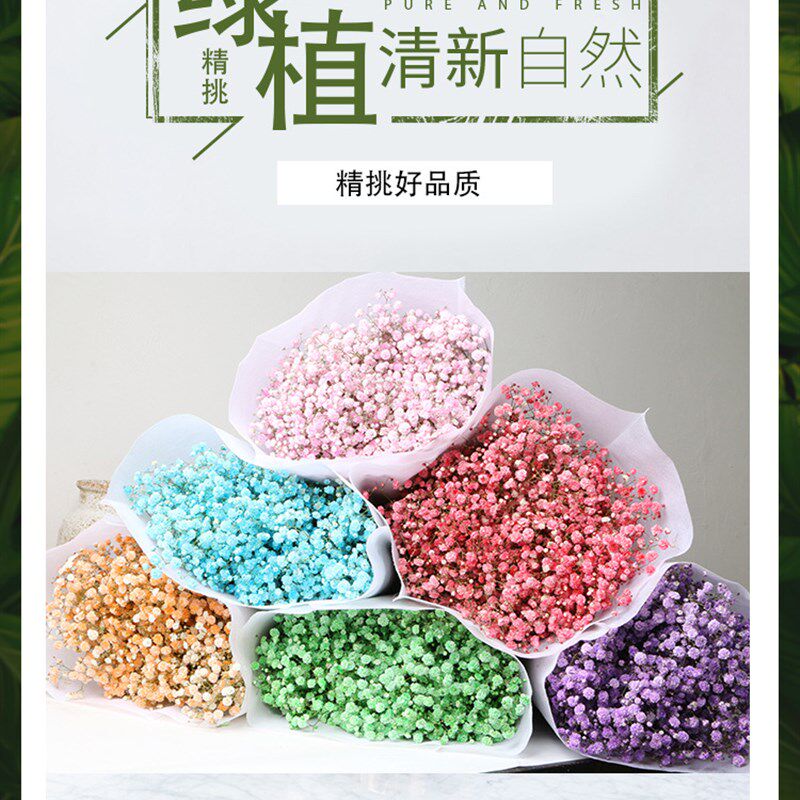 买一送一云南超大束满天星干花花束真花家用鲜花客厅装饰摆件论斤