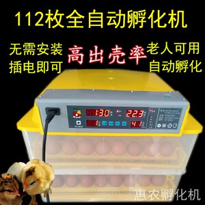 惠农电辅小鸡器鹅蛋卵化机抱蛋鸡噗小鸡机器恒温孵化器出壳小鸡苗