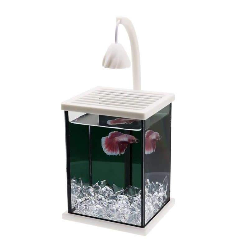 超白斗鱼缸小型桌面创意造景水族箱生态玻璃专用缸迷创意你小夜灯