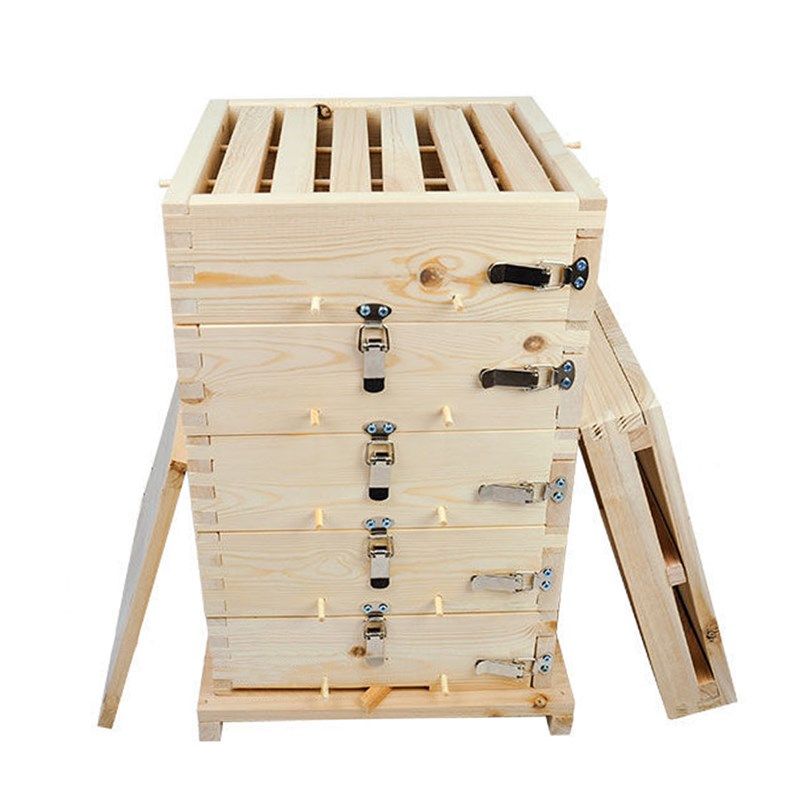 格子箱2cm厚中蜂蜂箱全套杉木养蜜蜂工具诱蜂桶五层方格子蜂箱