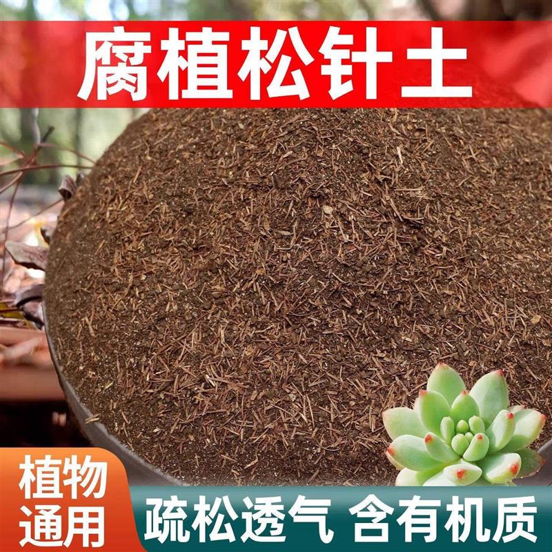 天然松针腐殖土腐叶土发酵腐熟兰花多肉专用营养土养花专用通用土