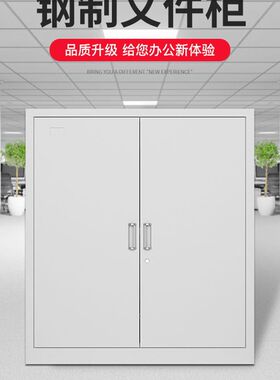 广州分双节下节铁皮对开双层文件柜带锁包邮储物柜单节钢制小矮柜