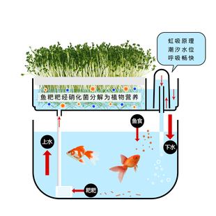 懒人鱼缸自循环免换水生态金鱼缸水族箱鱼菜共生系统客厅小型家用