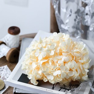永生花diy材料包干花瓣头饰钥匙扣浮游团扇中叶A级亚特木绣球整盒