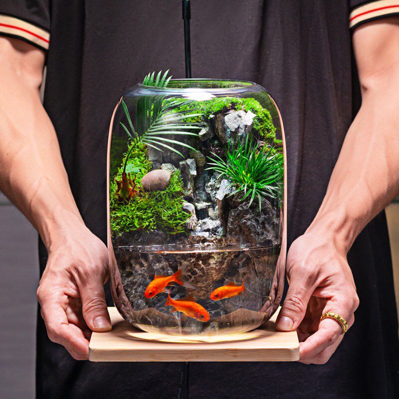 时来运转苔藓微景观流水款养鱼缸真植物生态瓶办公室成品室内送礼