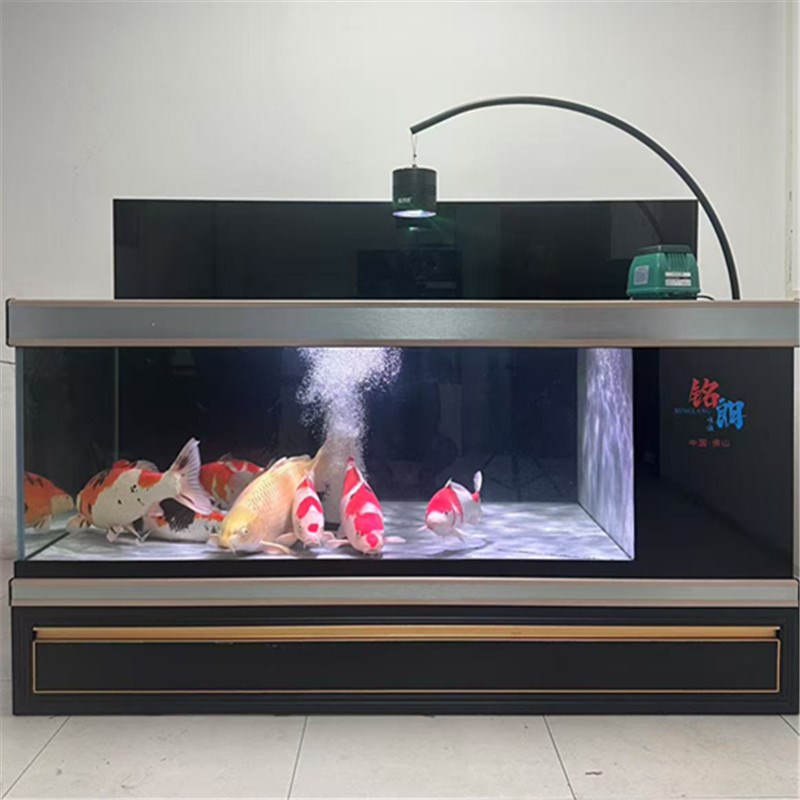 锦鲤鱼缸地缸大型超白金鱼底过滤水族箱客厅办公养锦鲤池大型鱼缸