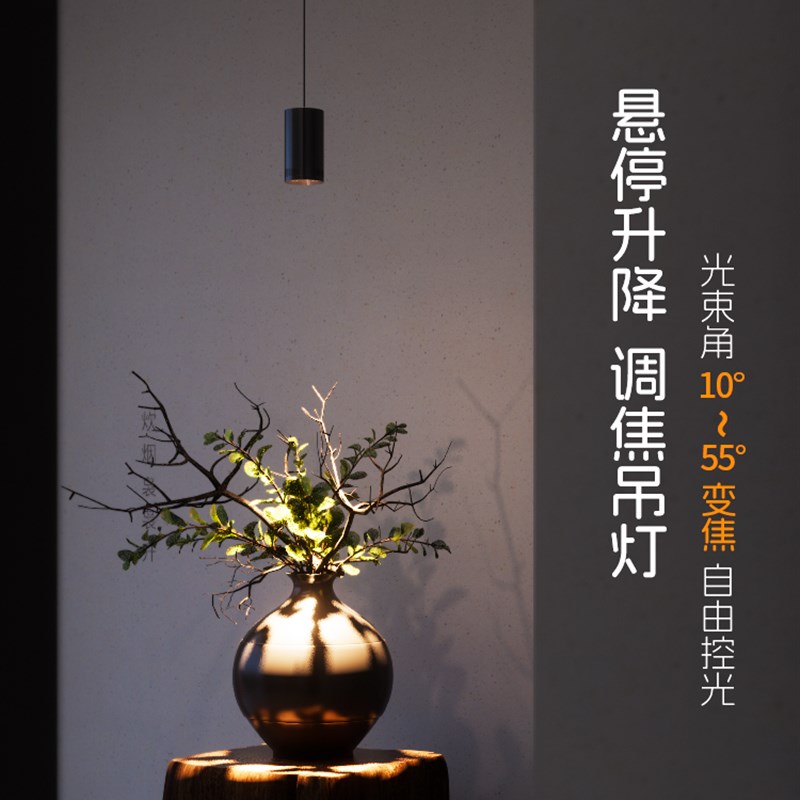 玄关吊线灯明装床头小吊灯可升降调焦变焦聚光餐厅灯餐桌入户射灯