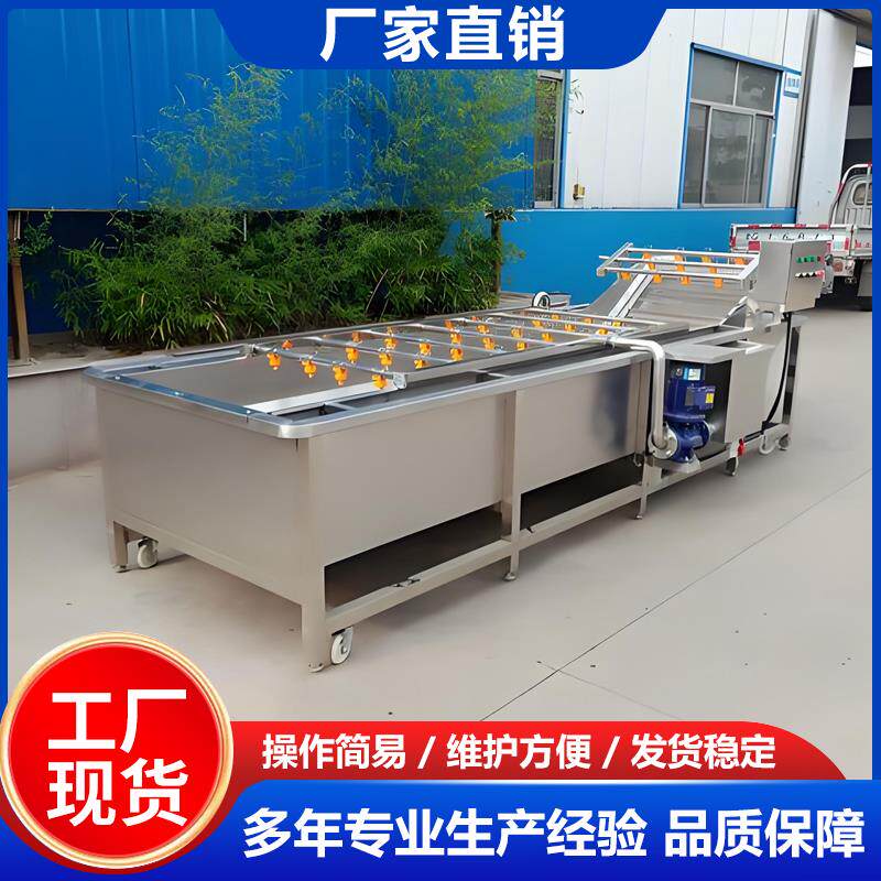 全自动气泡清洗机大型水果蔬菜多功能清洗机云南小黄姜辣椒清洗机