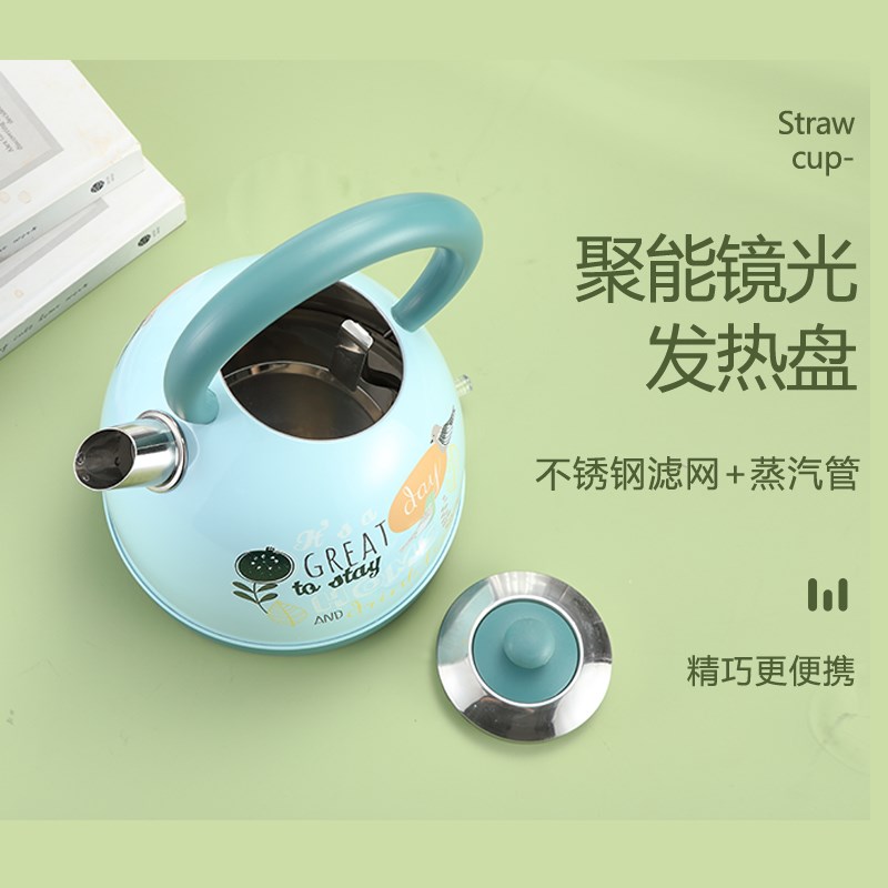 出口彩绘烤漆复古电热水壶电茶烧开水壶 304不锈钢家用电热水壶
