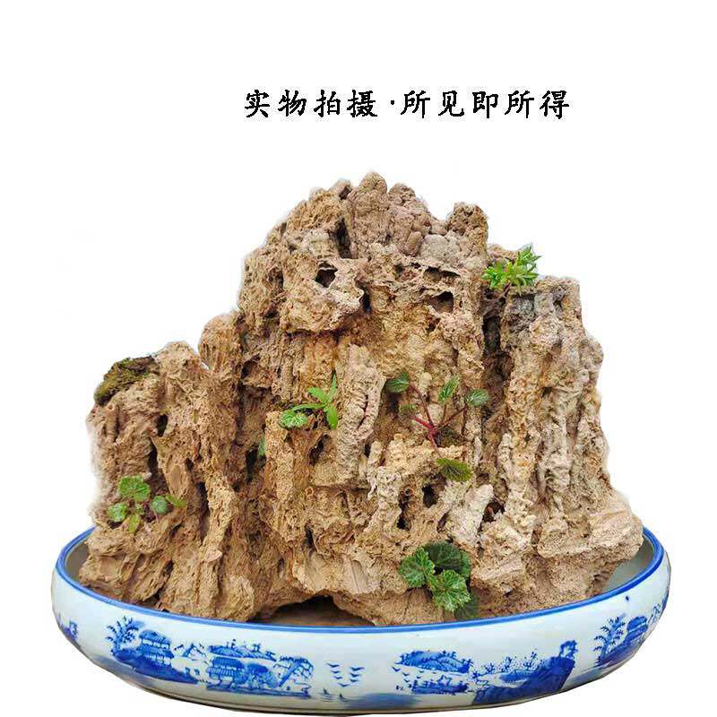 吸水石假山风水石摆件上水石真石头原石家居盆景包邮