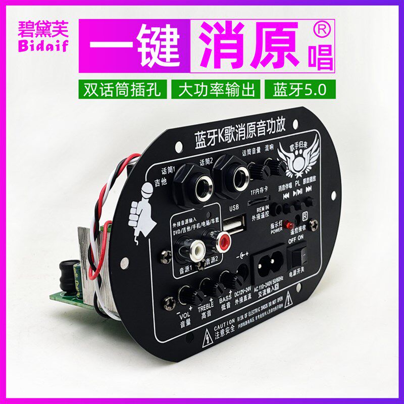 大功率消原唱蓝牙功放板车载家用12V24V220V改装音响箱放大器主板