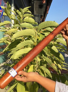 红木棒球棍缅甸花梨实木质防身棍一物一图整木料车载防卫武术木棒