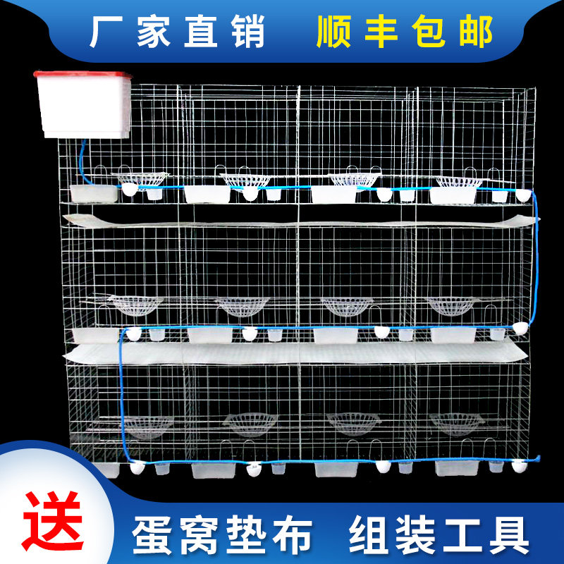 鸽子笼家用繁殖配对笼巢箱笼养鸽子专用大号肉鸽养殖笼元宝鸽笼