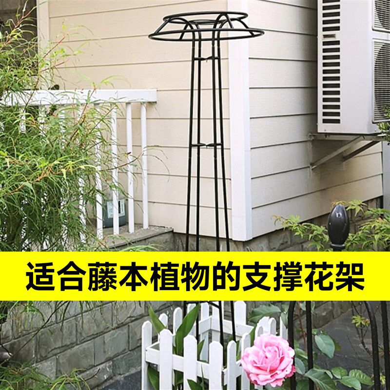 花架爬藤架支架葡萄铁线莲爬藤蔷薇月季植物固定架子造型户外庭院