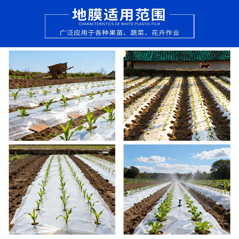 地膜种菜专用一次性农用种植薄膜塑料膜保湿保护加厚盖菜膜保温