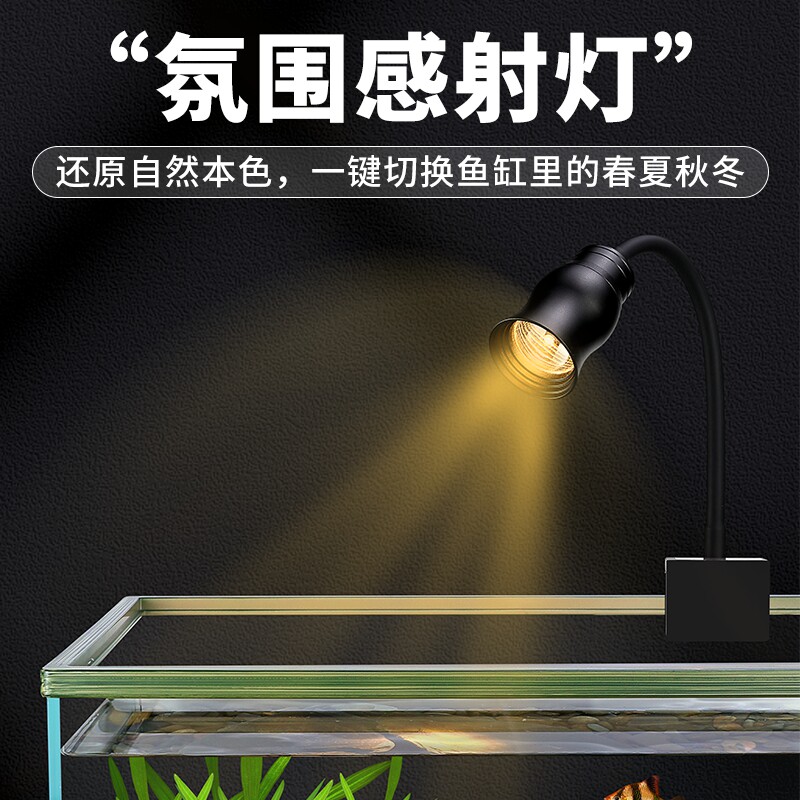 新款原生态南美溪流鱼缸全套造景家用桌面玻璃龟缸客厅小型金鱼缸