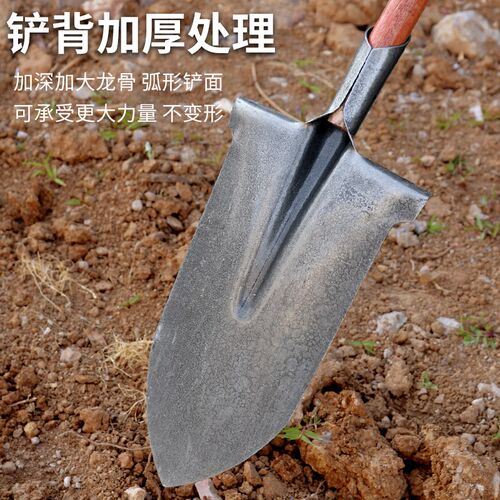 钢锹松土挖树专用锹铁铁锹锰钢铲子家用挖土农用工具铁铲掀锨尖头