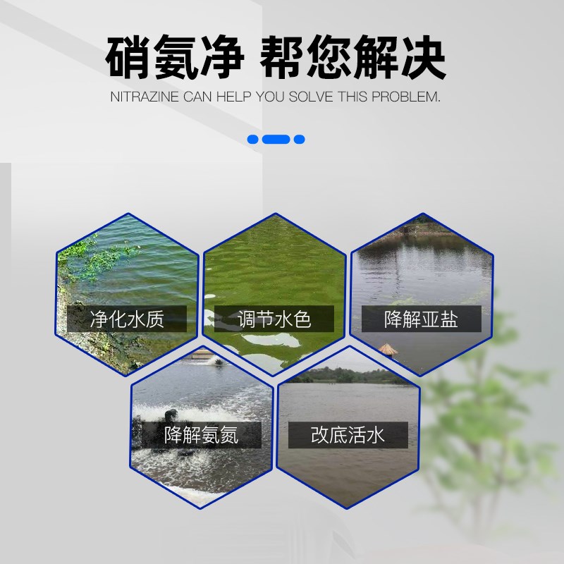 南华千牧硝氨净降解亚硝酸盐氨氮水产养殖池塘用净化水质亚硝速净